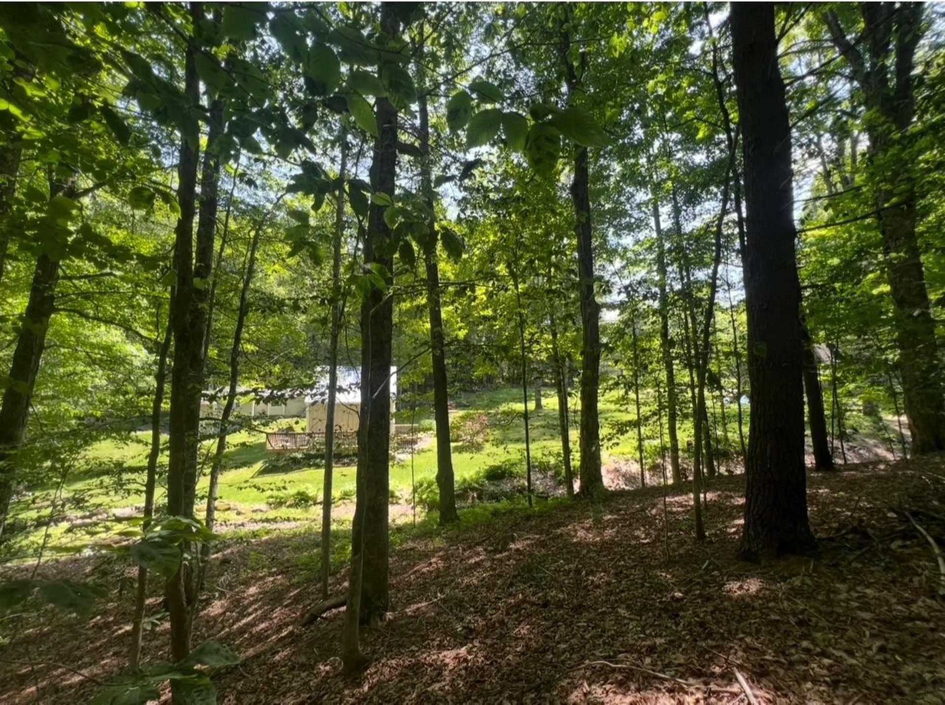 1171 Wickopee Hill Dummerston VT 05301