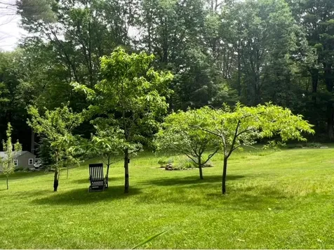 1171 Wickopee Hill Dummerston VT 05301