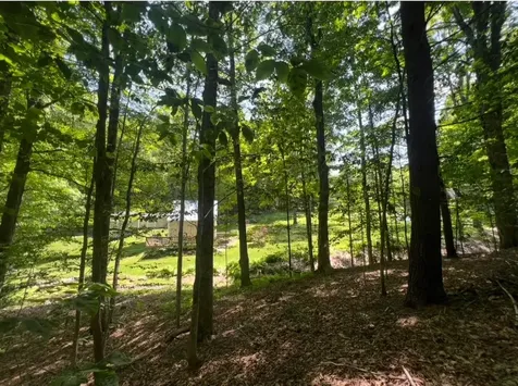 1171 Wickopee Hill Dummerston VT 05301