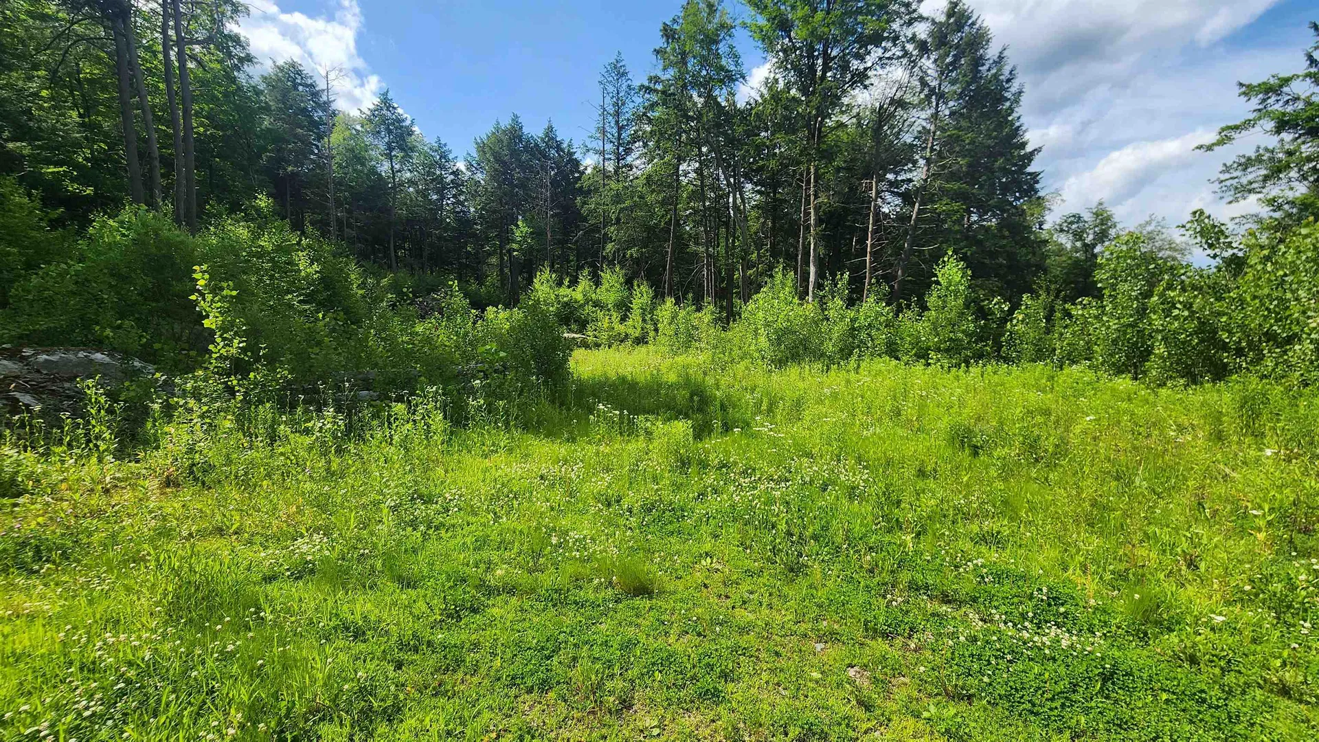 0 Spencer Hollow Road Springfield VT 05156