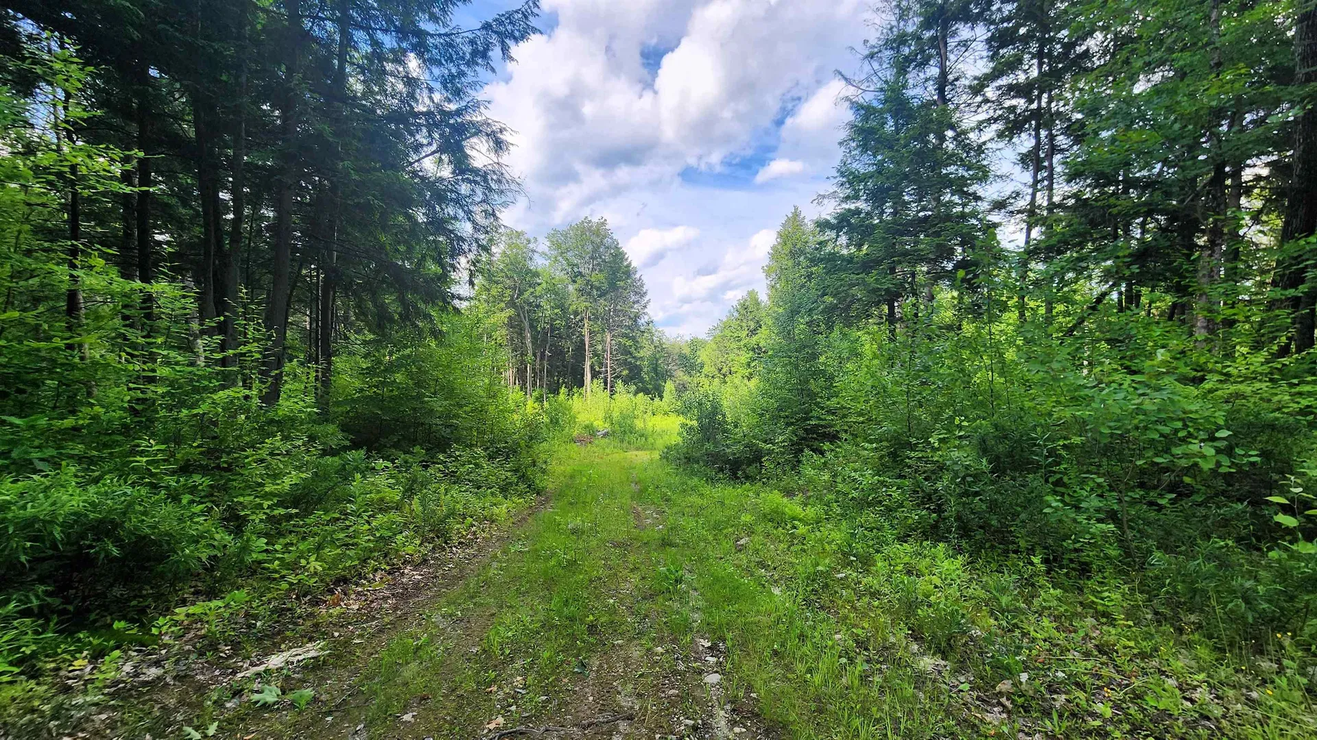 0 Spencer Hollow Road Springfield VT 05156
