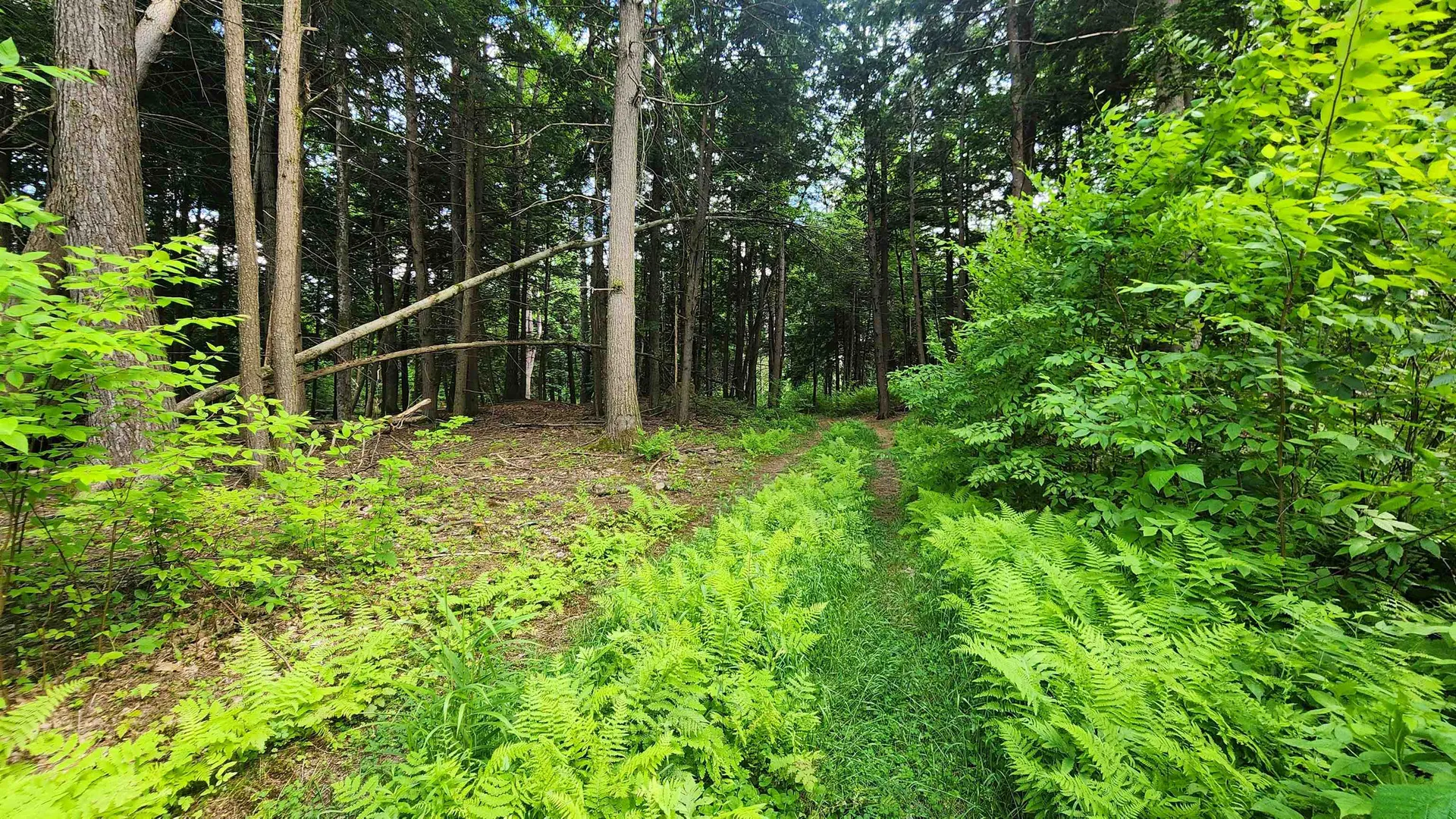 0 Spencer Hollow Road Springfield VT 05156