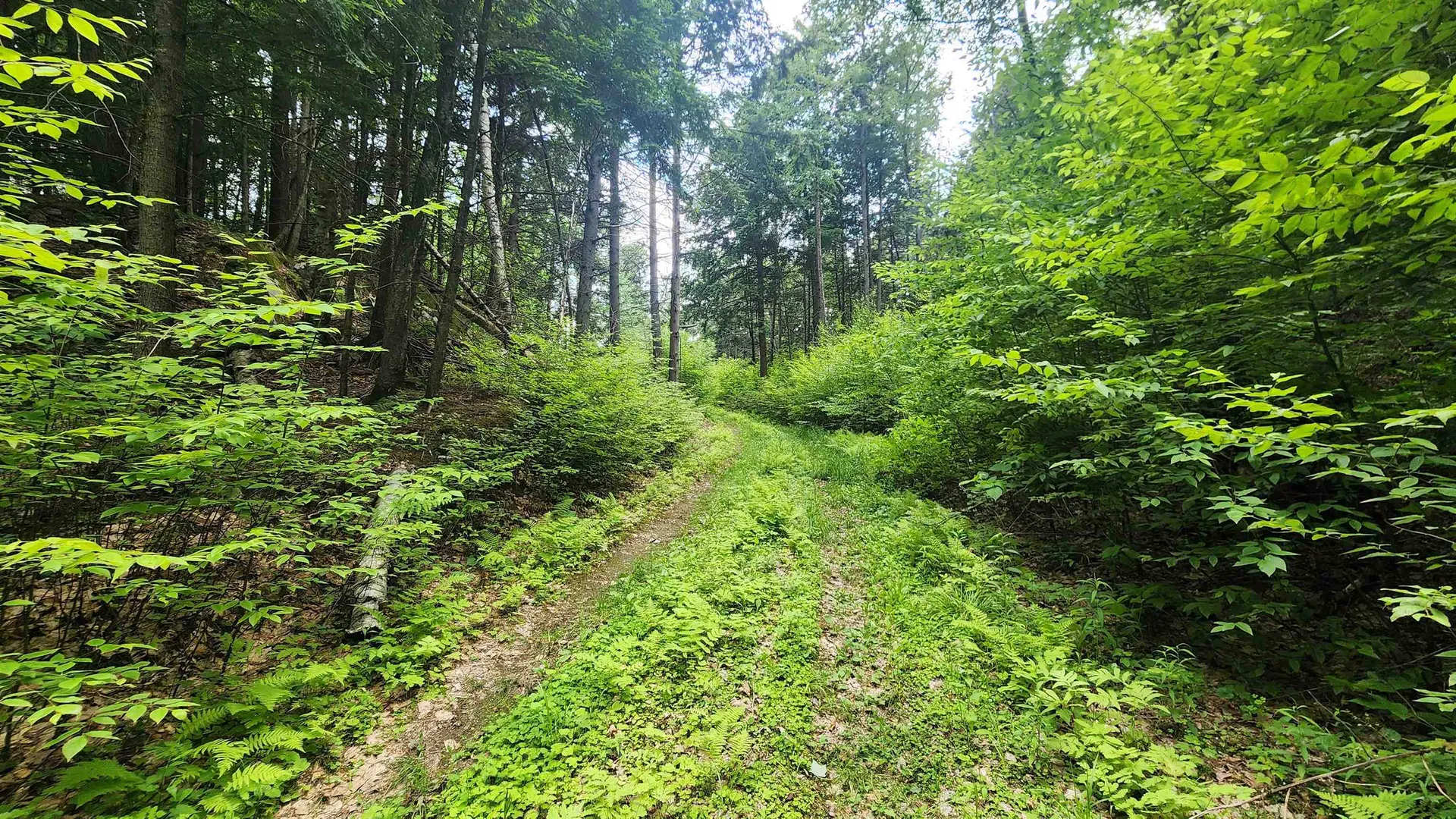 0 Spencer Hollow Road Springfield VT 05156