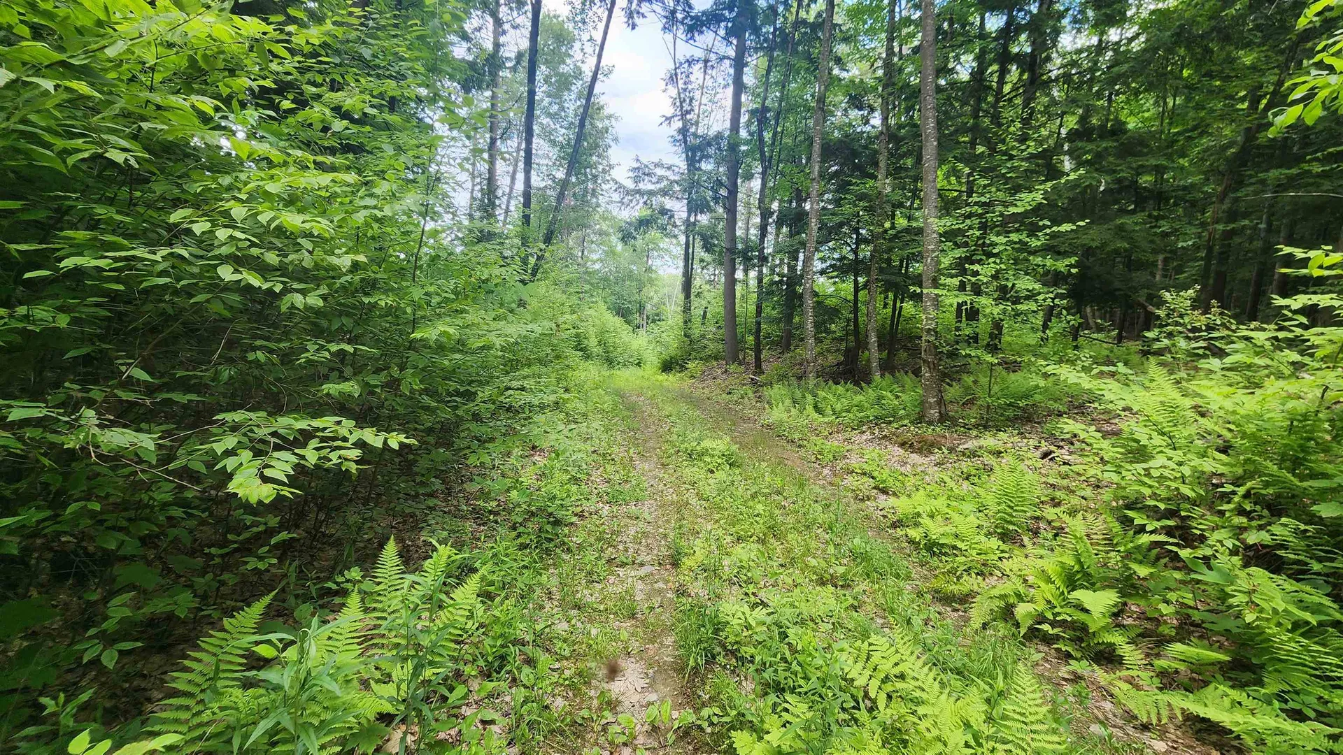 0 Spencer Hollow Road Springfield VT 05156