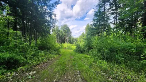 0 Spencer Hollow Road Springfield VT 05156