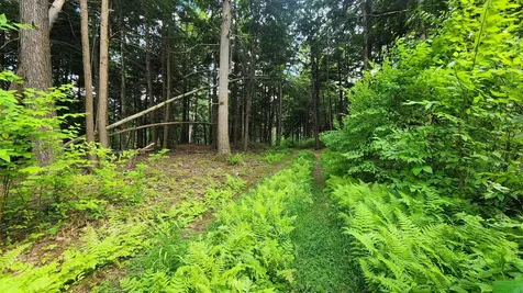 0 Spencer Hollow Road Springfield VT 05156