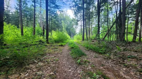 0 Spencer Hollow Road Springfield VT 05156