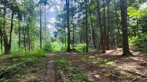 0 Spencer Hollow Road Springfield VT 05156