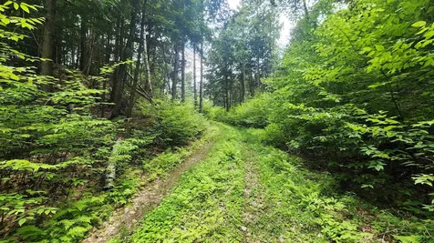 0 Spencer Hollow Road Springfield VT 05156