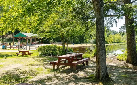 18 Lakeside Drive Fitzwilliam NH 03447