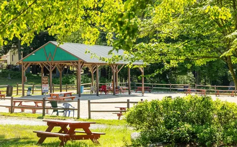 18 Lakeside Drive Fitzwilliam NH 03447