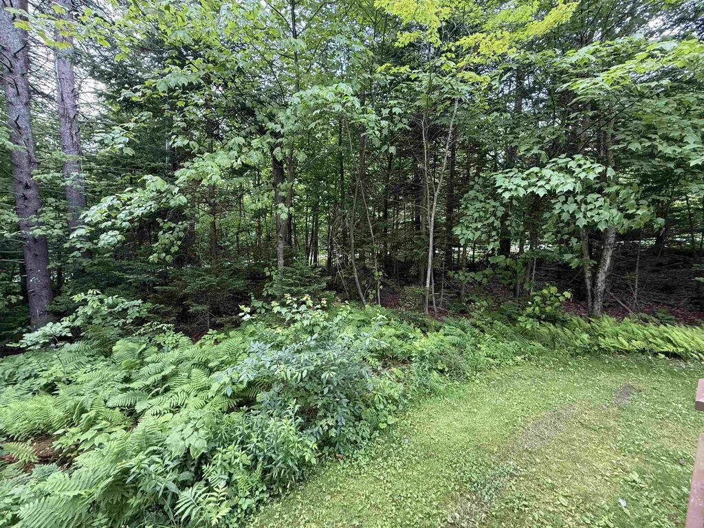 2B Queen Anne's Way Dover VT 05356