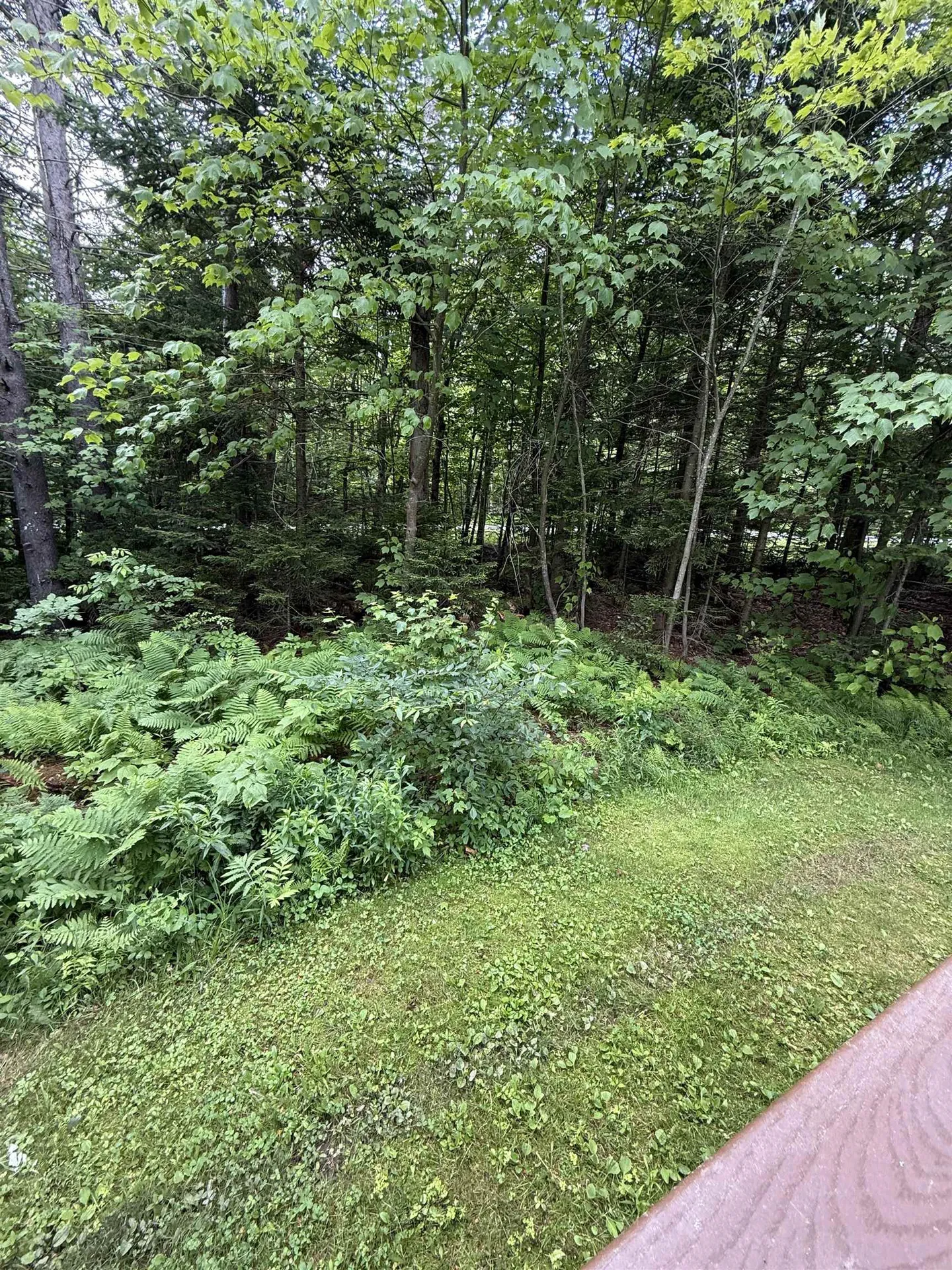 2B Queen Anne's Way Dover VT 05356