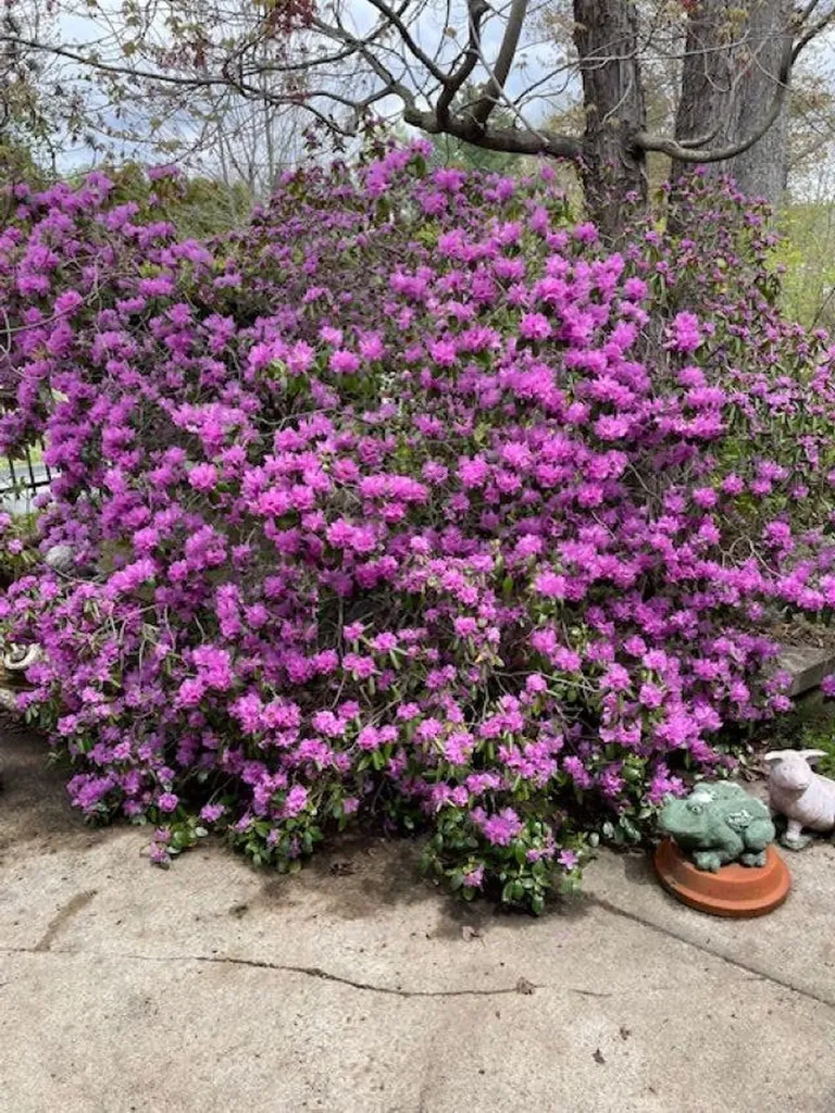 32 Hermanson Street Berlin NH 03570