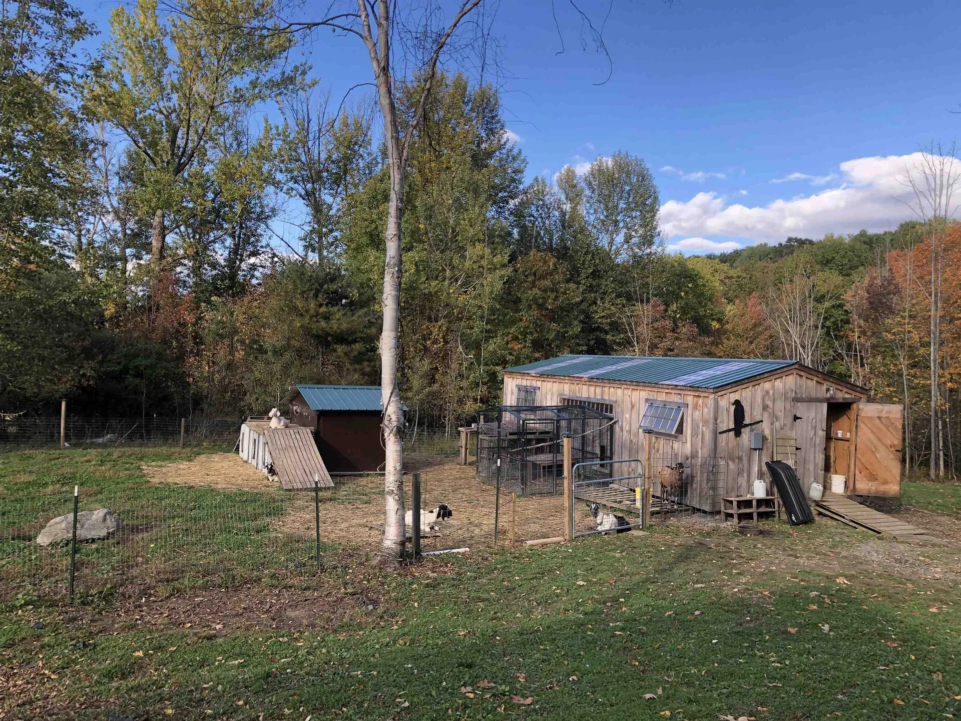 114 Monument Hill Road Springfield VT 05156