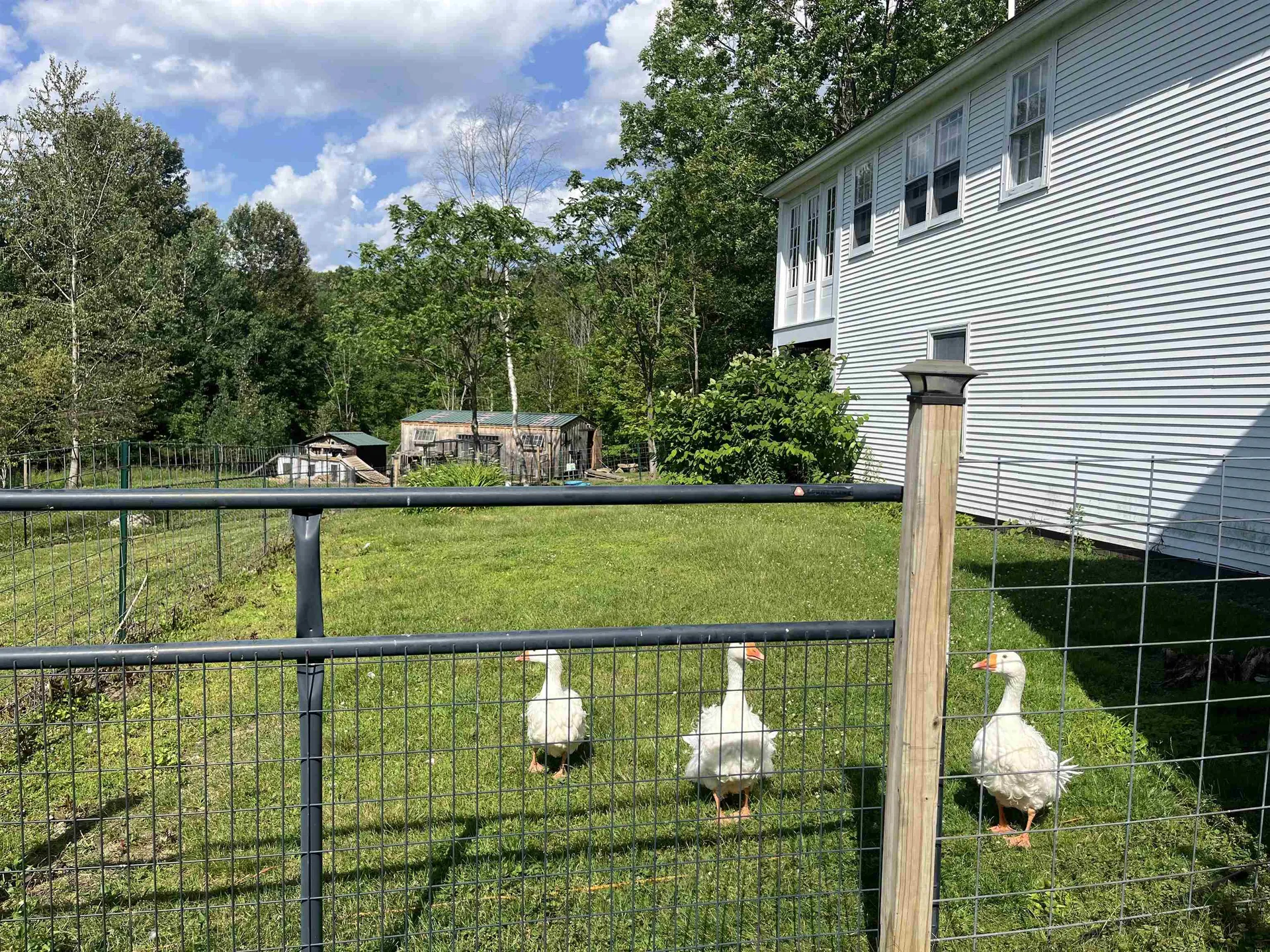 114 Monument Hill Road Springfield VT 05156