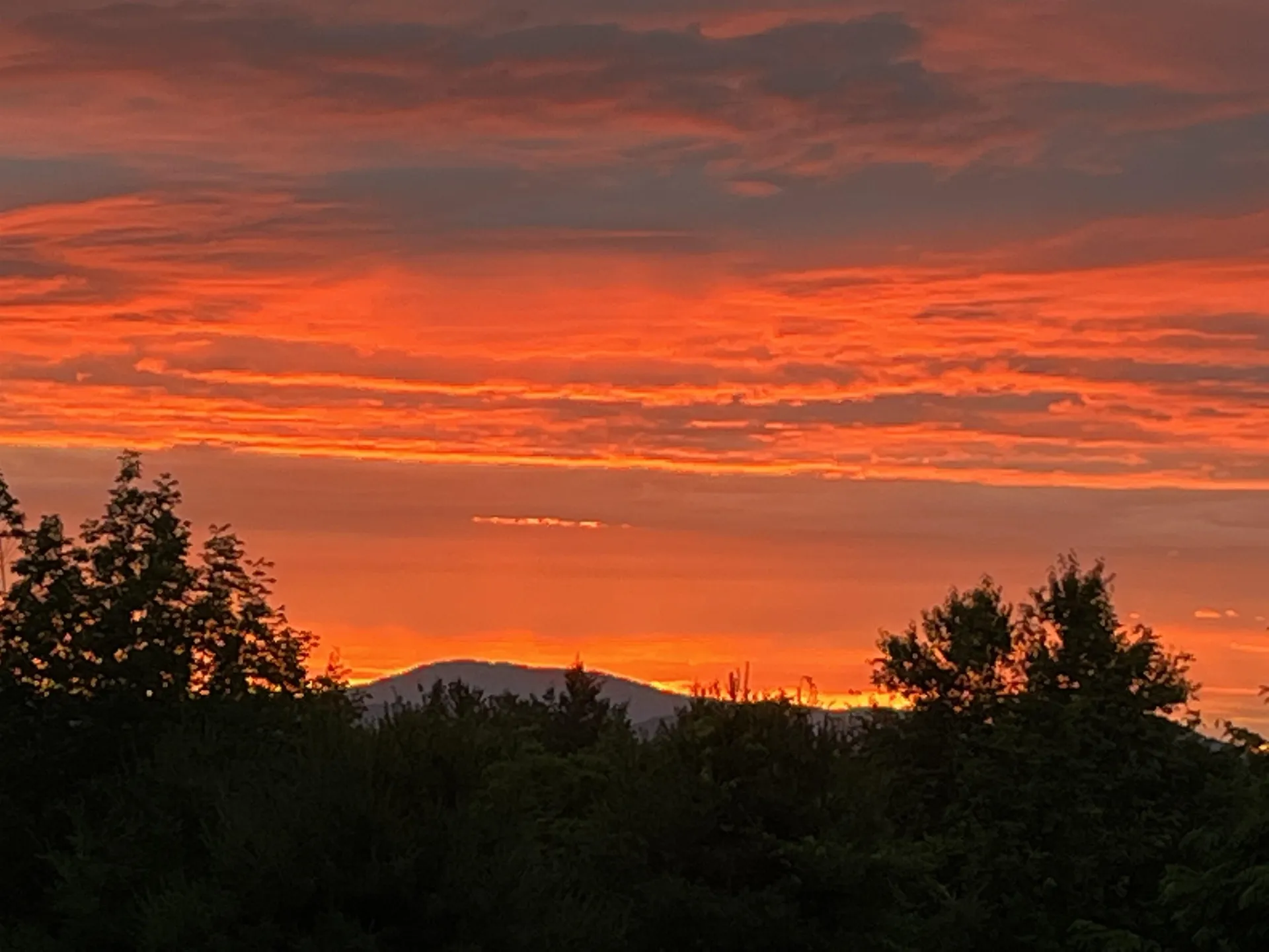 114 Monument Hill Road Springfield VT 05156