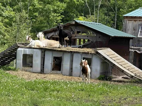 114 Monument Hill Road Springfield VT 05156