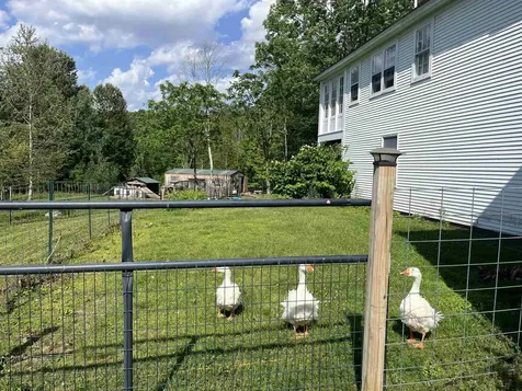 114 Monument Hill Road Springfield VT 05156