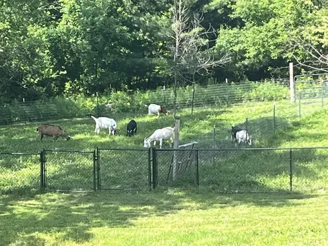 114 Monument Hill Road Springfield VT 05156