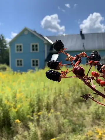 42 Blackberry Lane Jamaica VT 05343