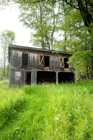 42 Blackberry Lane Jamaica VT 05343