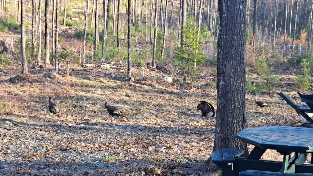 X Whispering Winds Way Canaan NH 03741