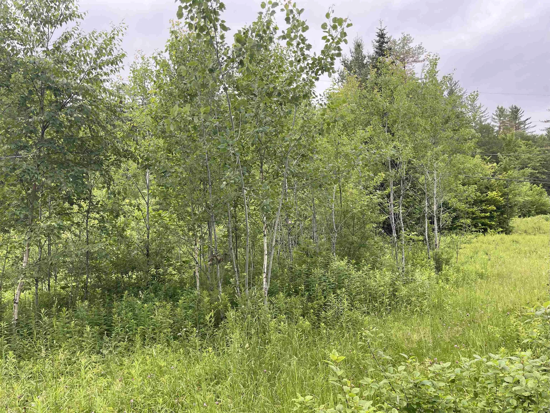 4769 Pikes Falls Road Jamaica VT 05143