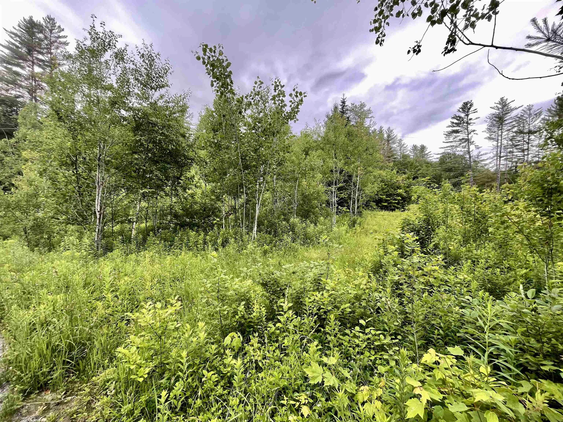 4769 Pikes Falls Road Jamaica VT 05143