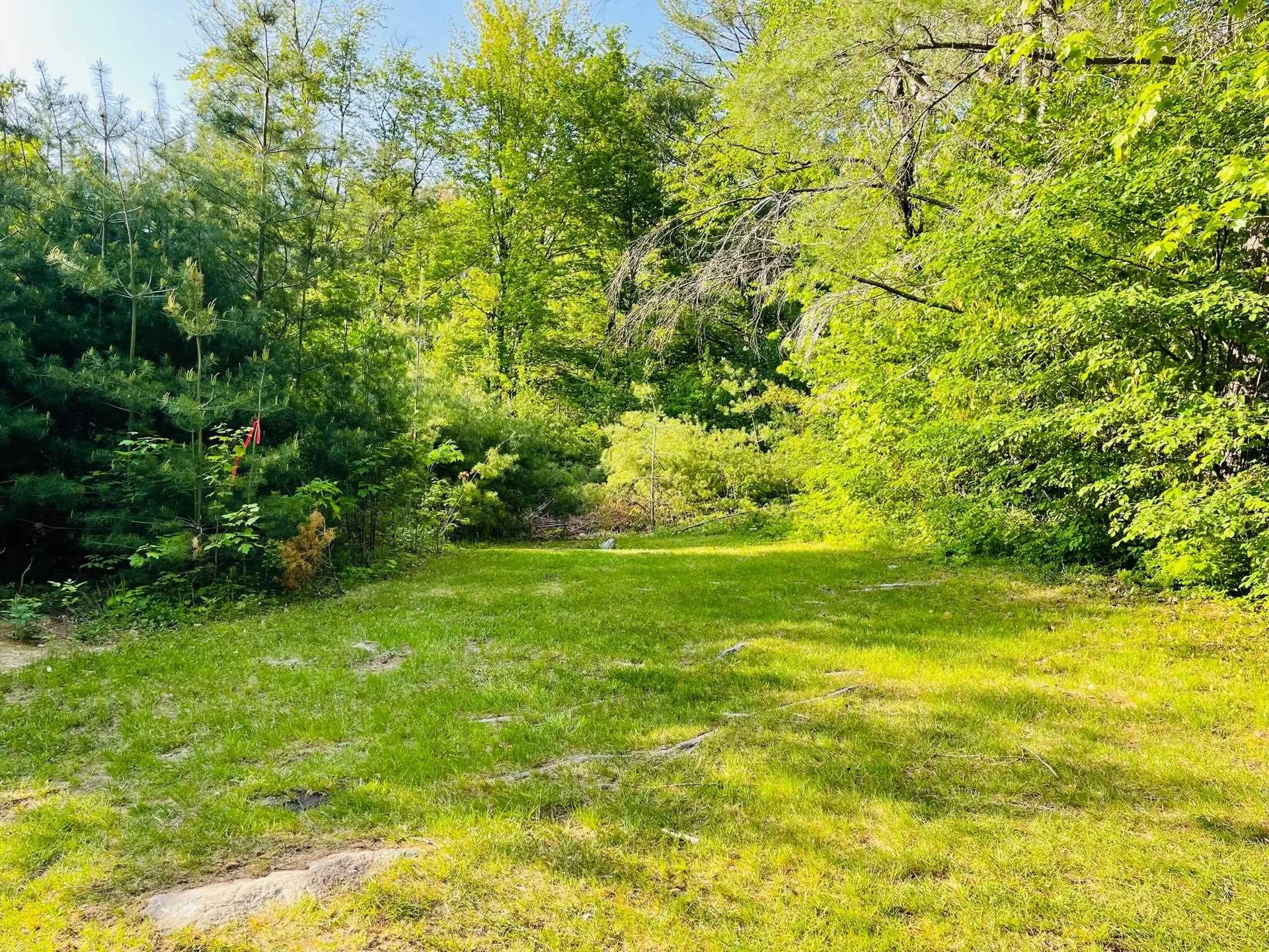 4769 Pikes Falls Road Jamaica VT 05143