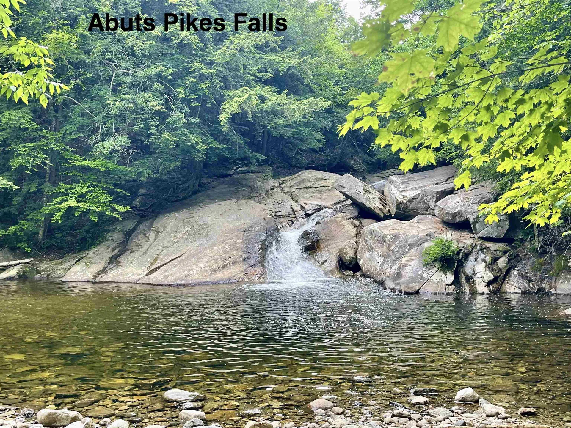 4769 Pikes Falls Road Jamaica VT 05143