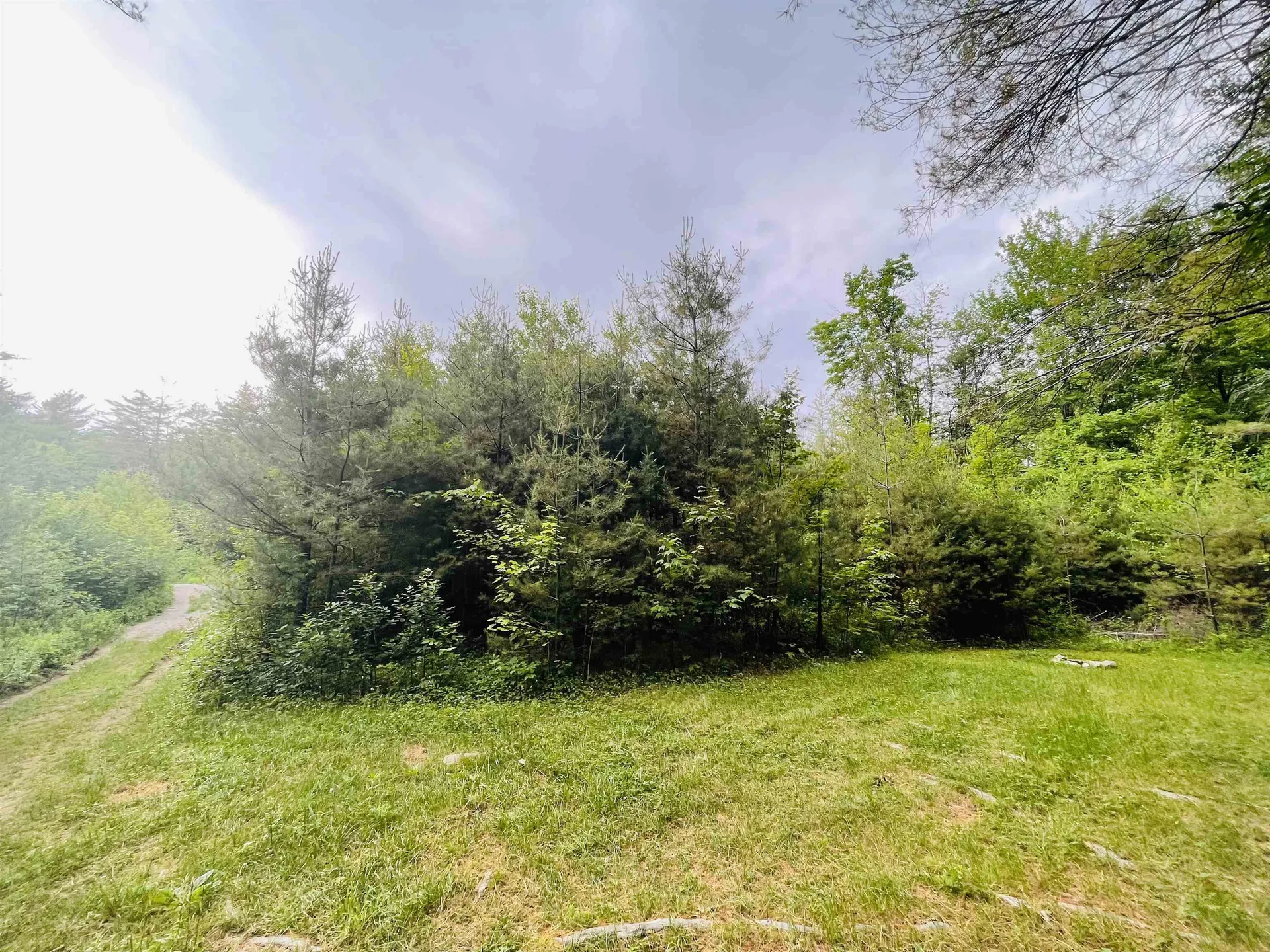 4769 Pikes Falls Road Jamaica VT 05143