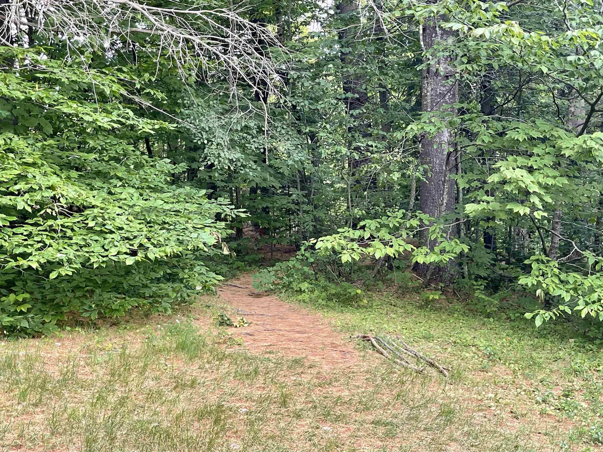 4769 Pikes Falls Road Jamaica VT 05143