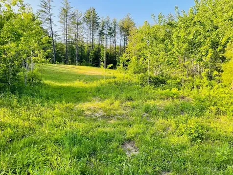 4769 Pikes Falls Road Jamaica VT 05143