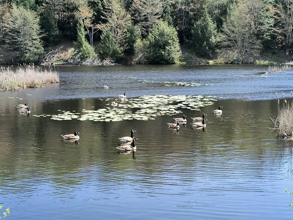 686 Vt Route 15 Underhill VT 06489