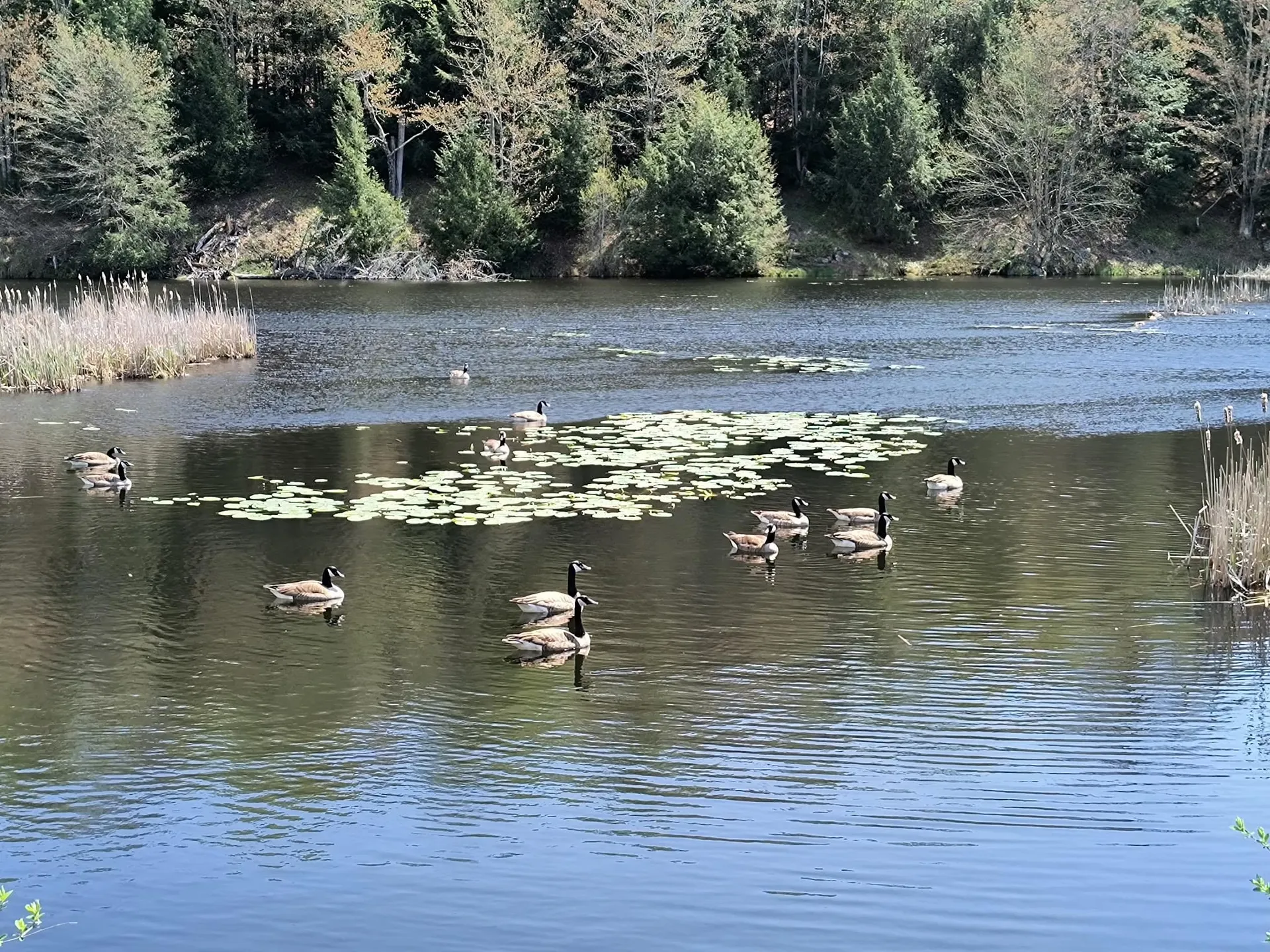 686 Vt Route 15 Underhill VT 06489