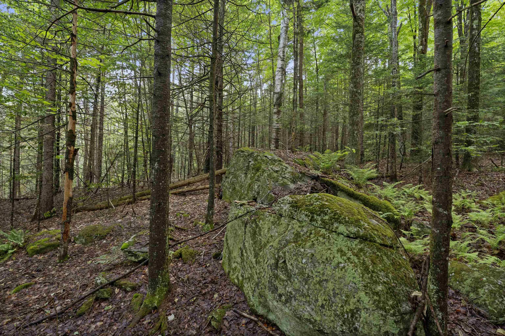 11 Old County Road Landgrove VT 05148