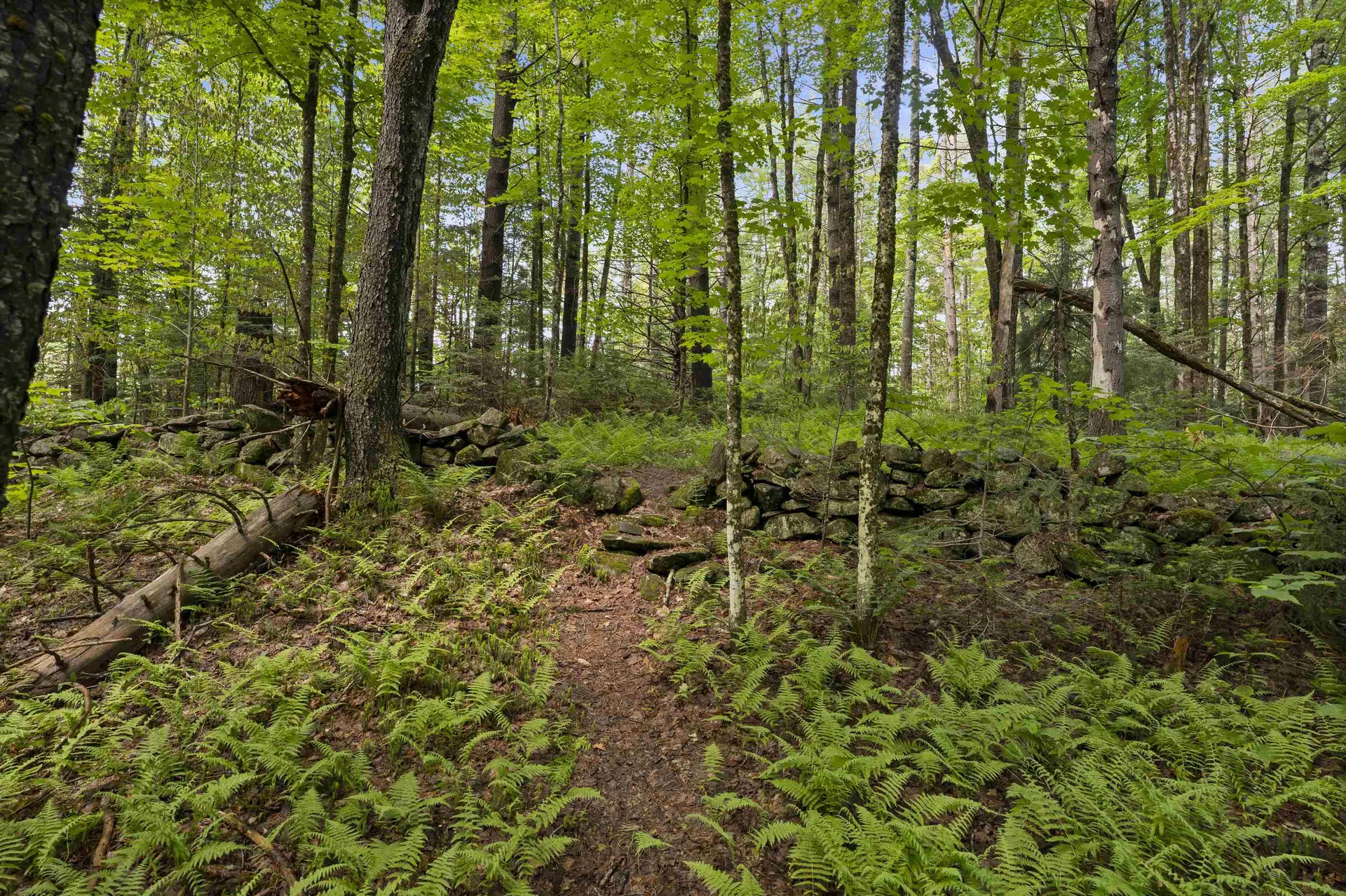 11 Old County Road Landgrove VT 05148