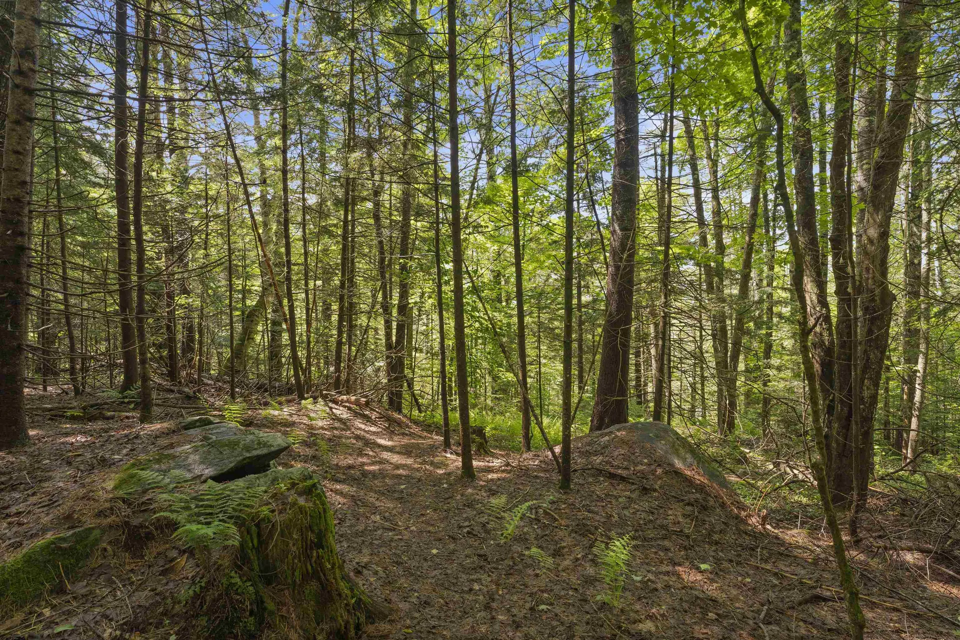 11 Old County Road Landgrove VT 05148