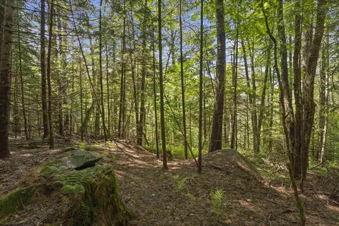 11 Old County Road Landgrove VT 05148
