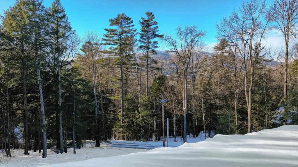 228 Town Farm Road Ludlow VT 05149