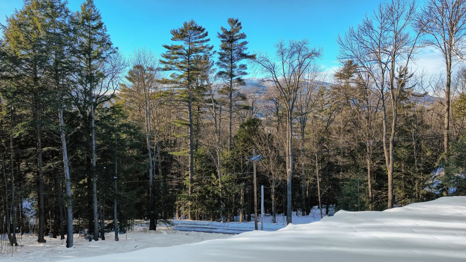 228 Town Farm Road Ludlow VT 05149