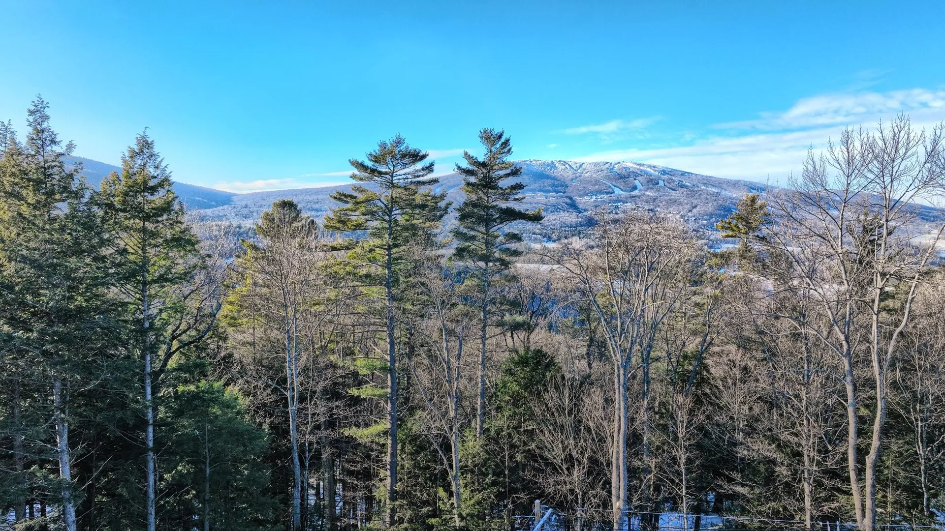 228 Town Farm Road Ludlow VT 05149