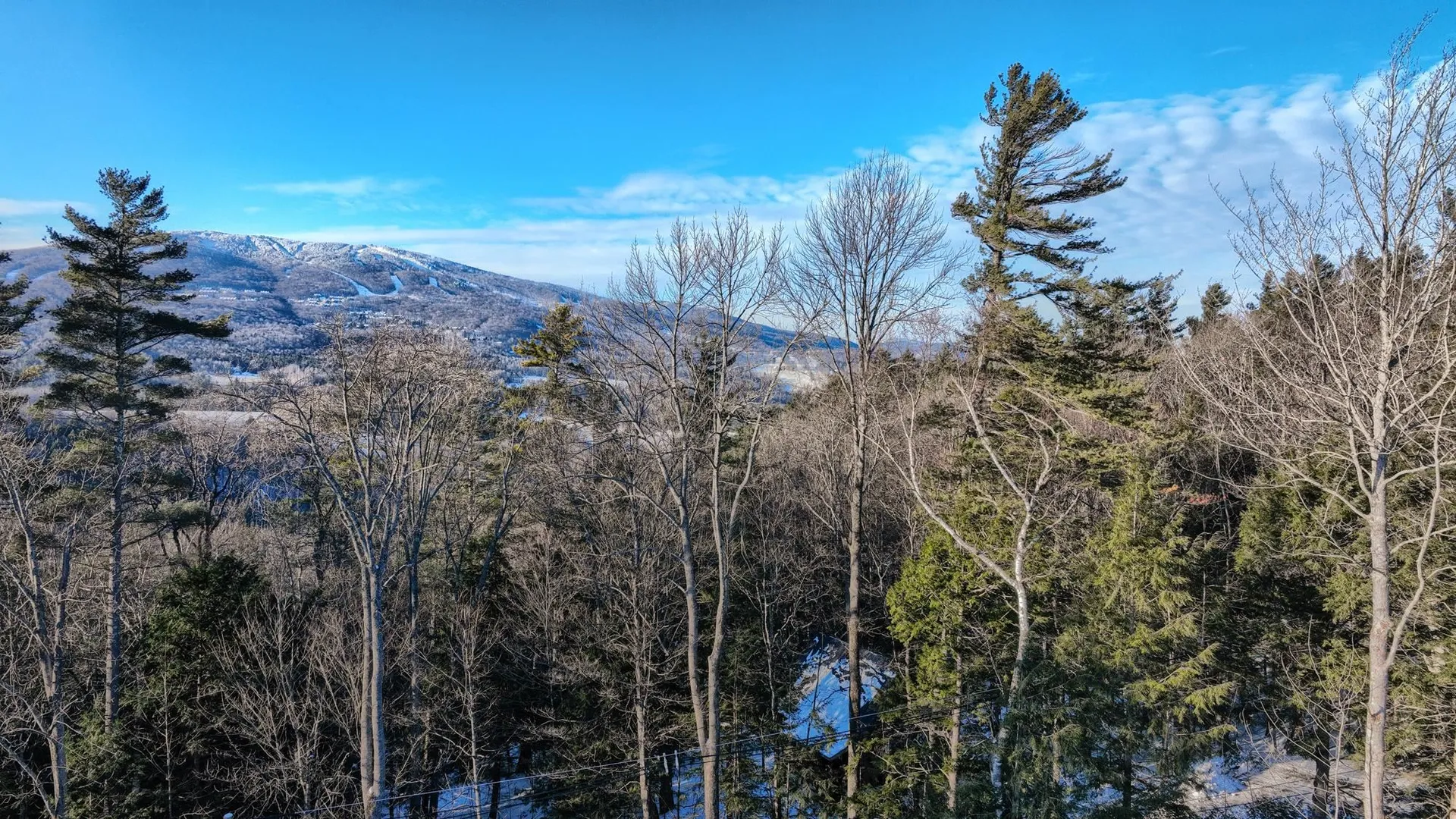 228 Town Farm Road Ludlow VT 05149