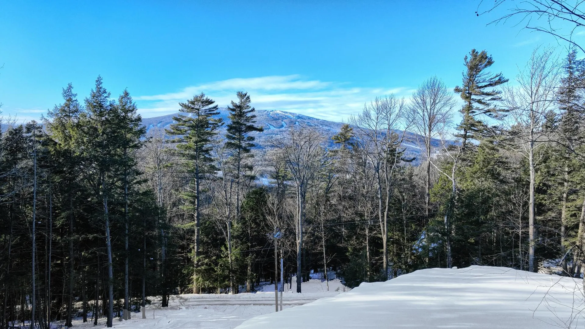 228 Town Farm Road Ludlow VT 05149