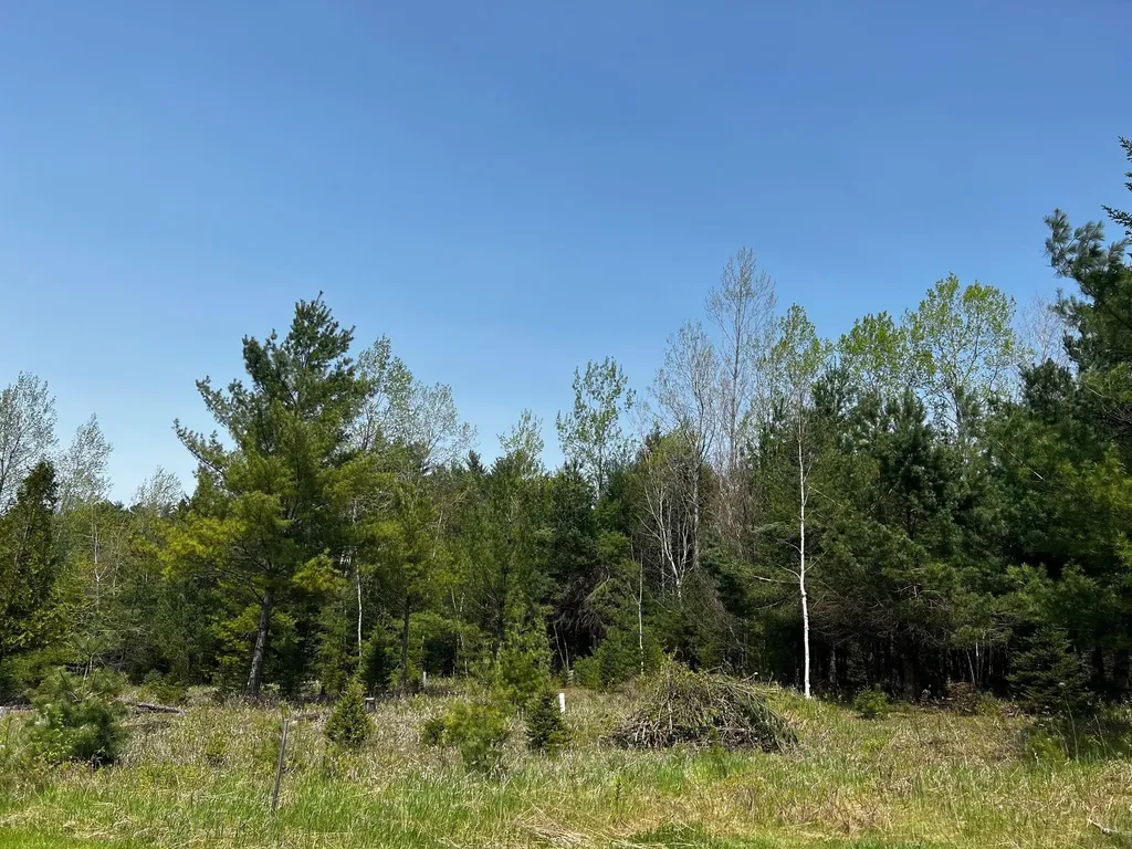 00 Spring Creek Road St. Johnsbury VT 05819