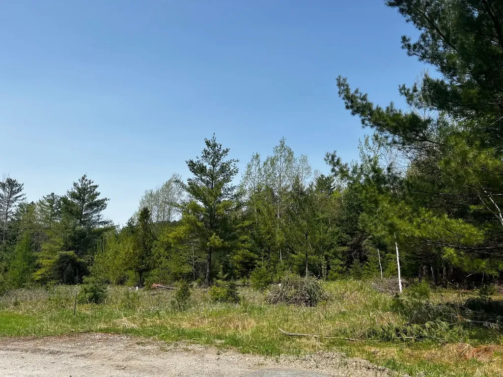 00 Spring Creek Road St. Johnsbury VT 05819