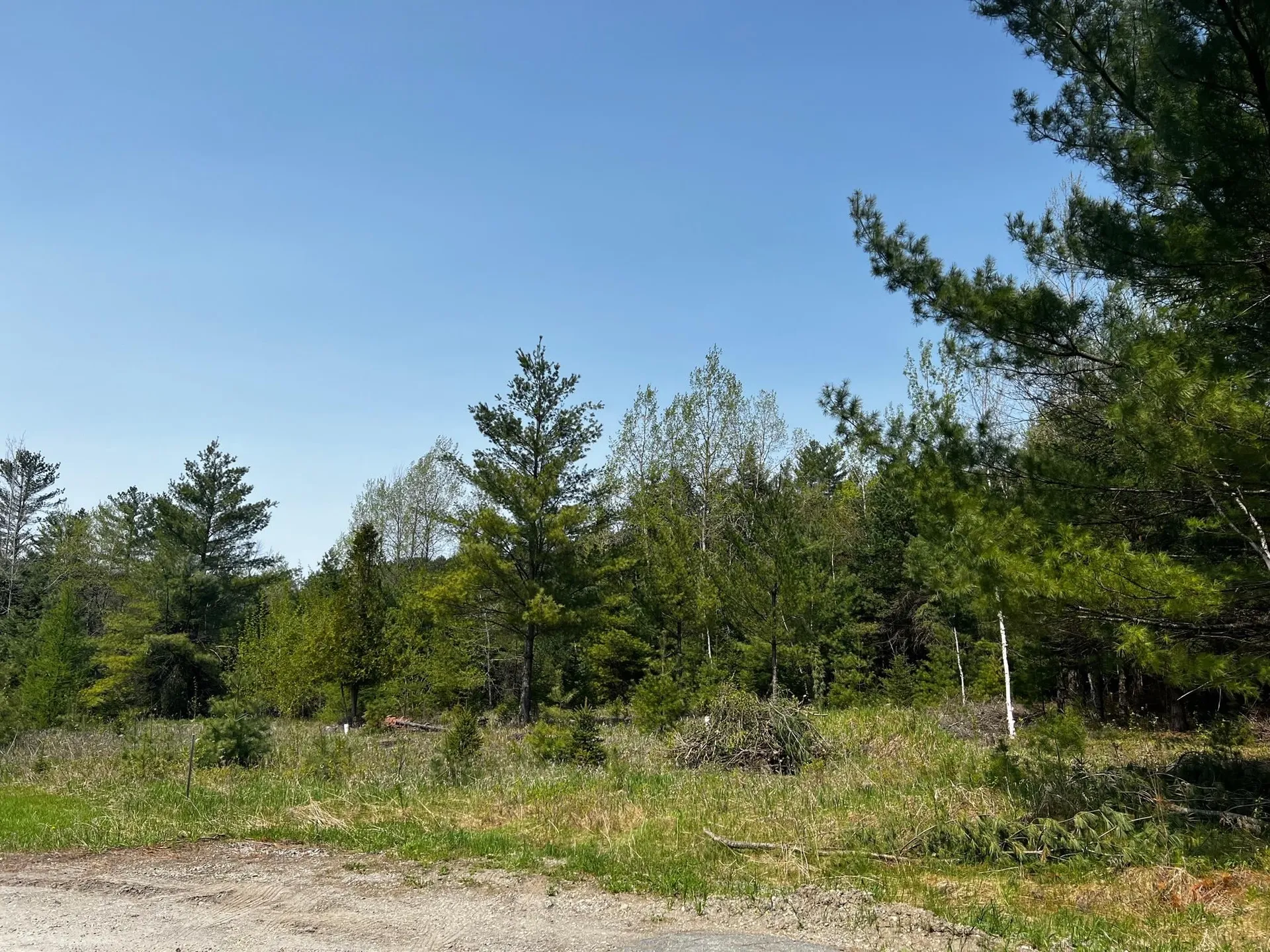 00 Spring Creek Road St. Johnsbury VT 05819