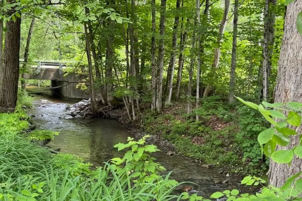 809 Gorhamtown Road Poultney VT 05764