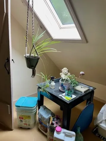 5 Bell Street Gorham NH 03581